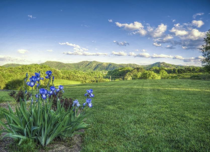 Outdoor view Photo