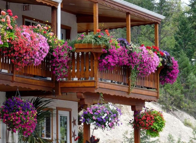 Outdoor view Photo
