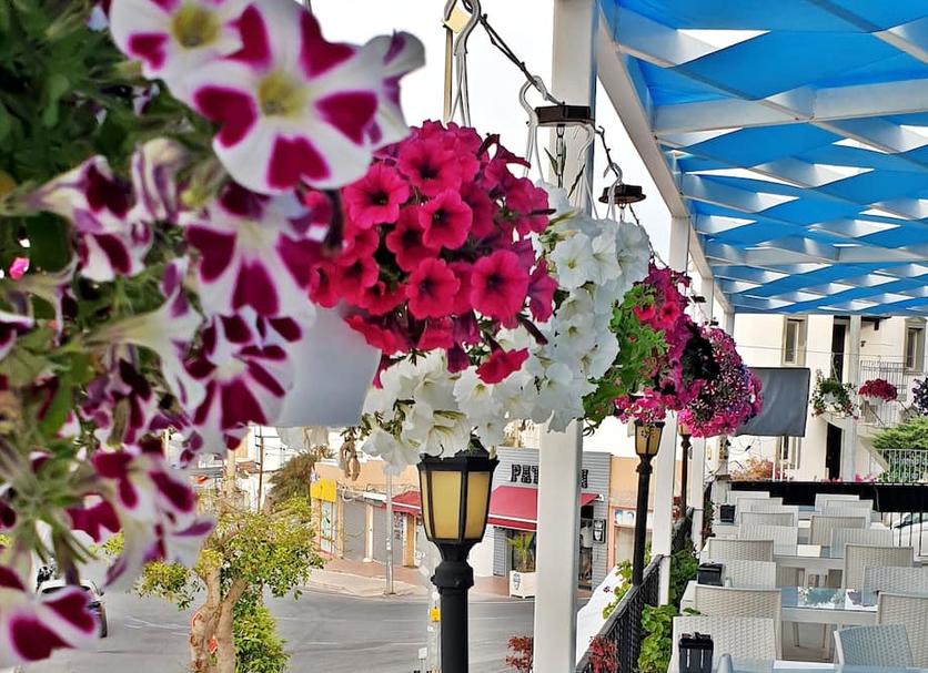 Outdoor view Photo