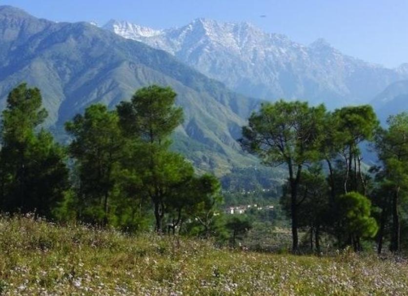 Outdoor view Photo