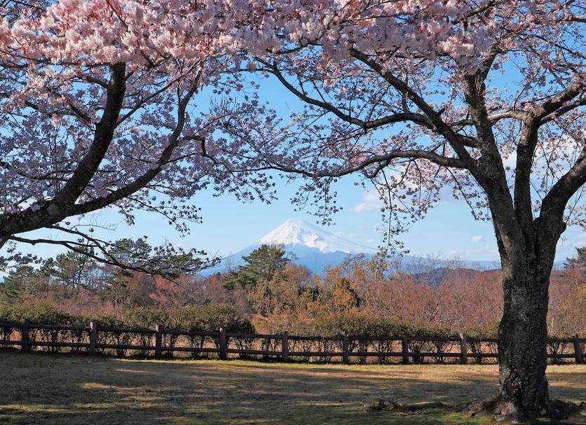 Outdoor view Photo