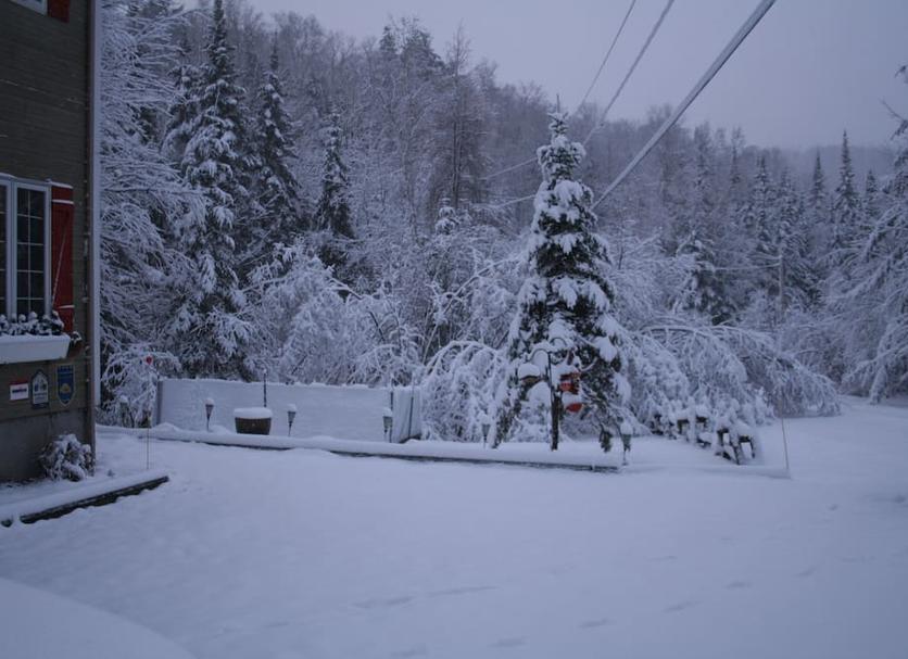 Other Photo