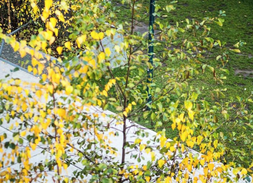 Outdoor view Photo