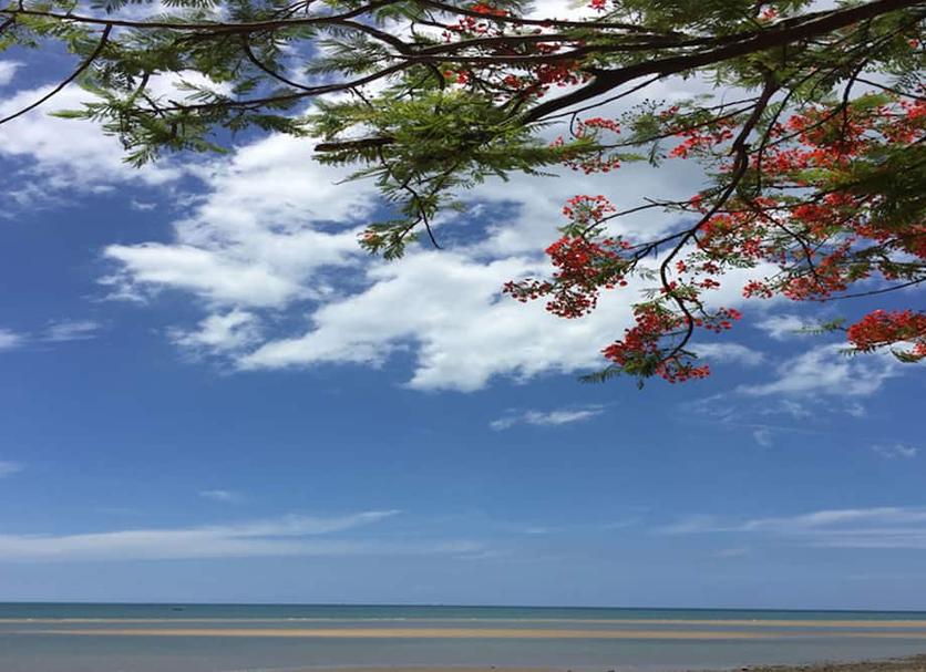 Outdoor view Photo