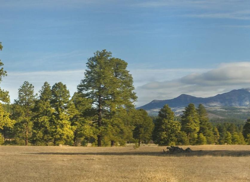 Outdoor view Photo