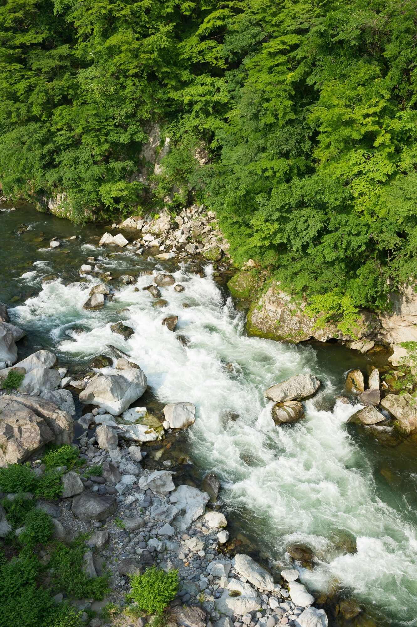 Other Photo