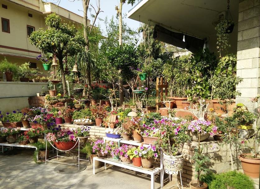 Outdoor view Photo