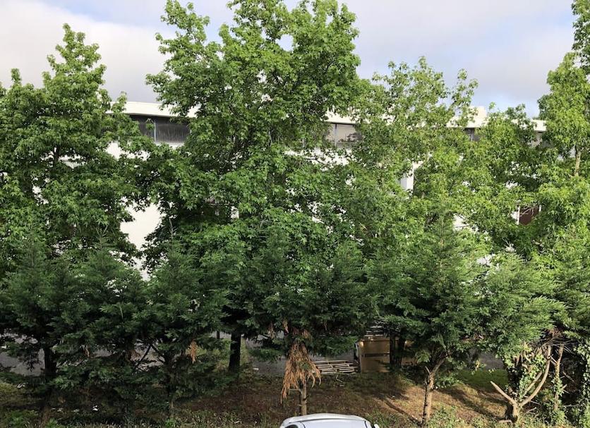 Outdoor view Photo