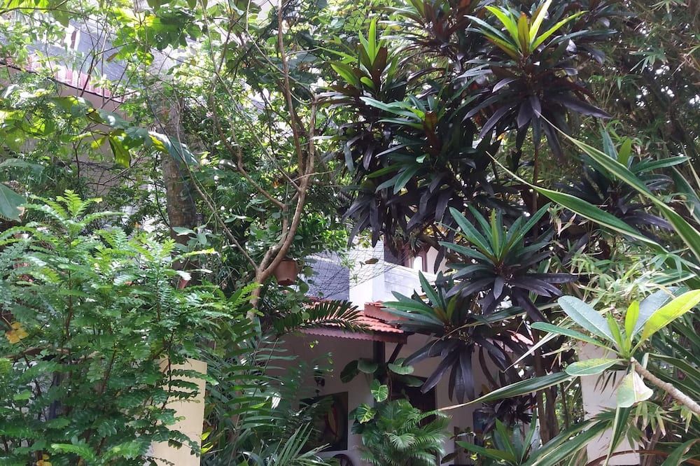 Outdoor view