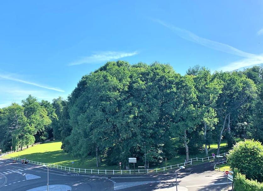 Outdoor view Photo