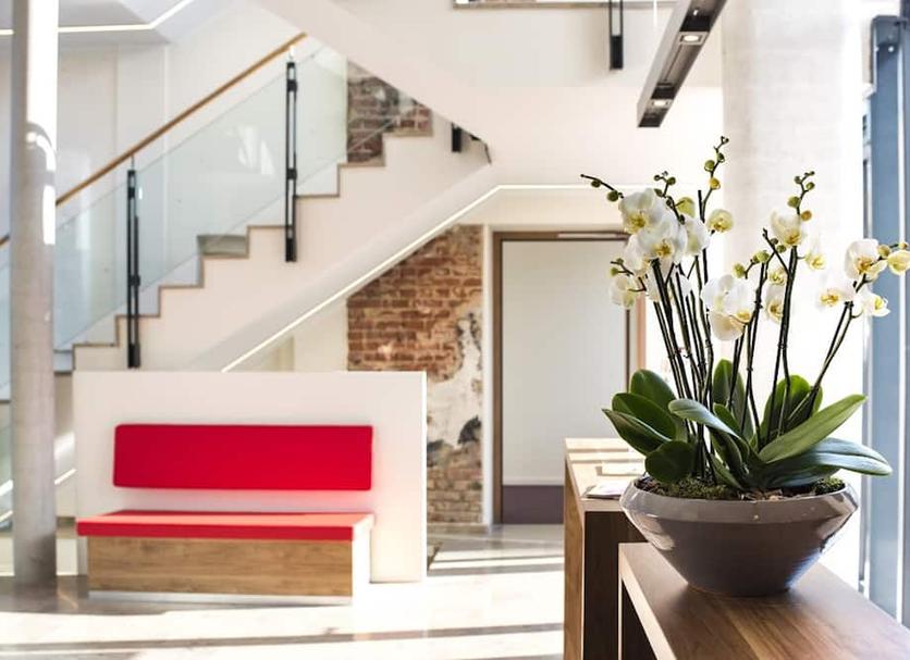 Stairs Photo