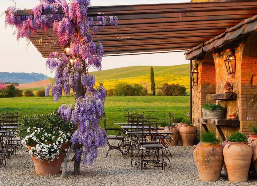 Patio Photo