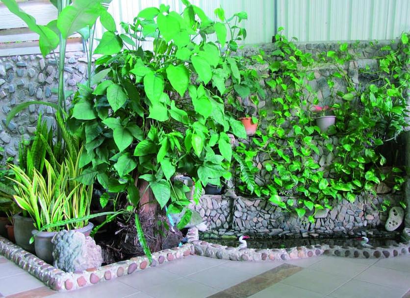 Outdoor view Photo