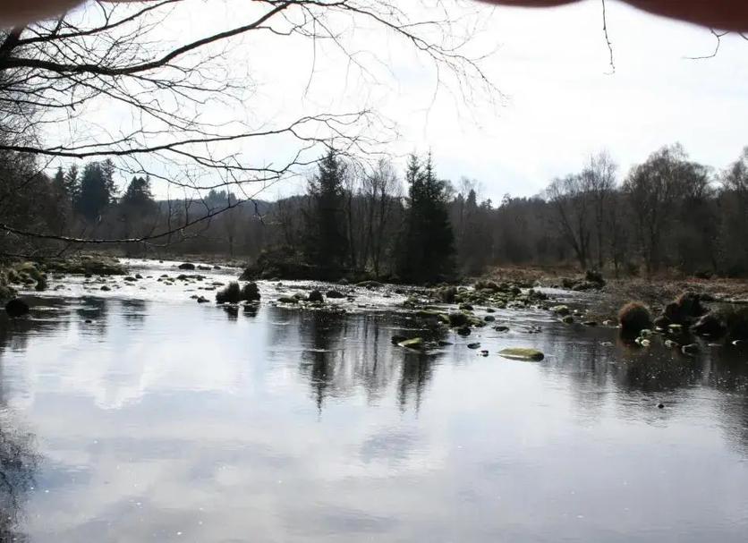 Other Photo