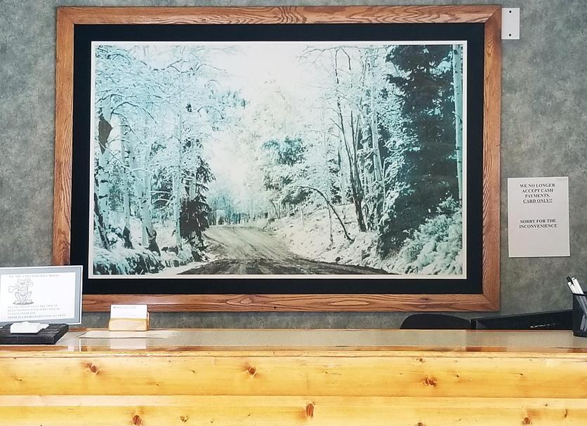 Room amenity Photo