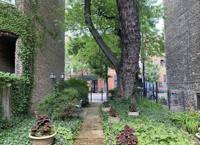 Outdoor view Photo