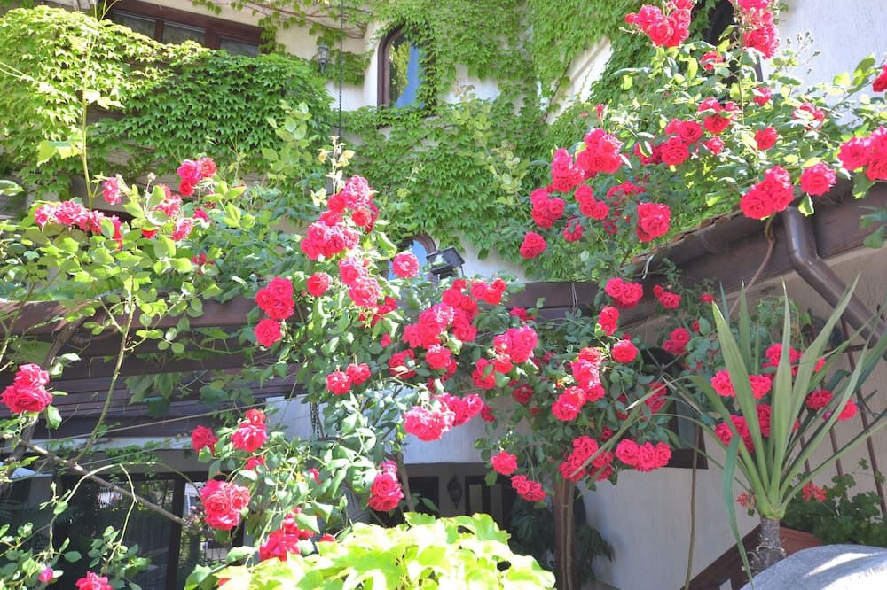 Outdoor view