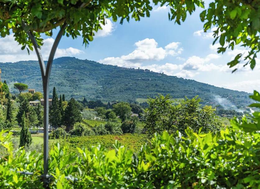 Outdoor view Photo