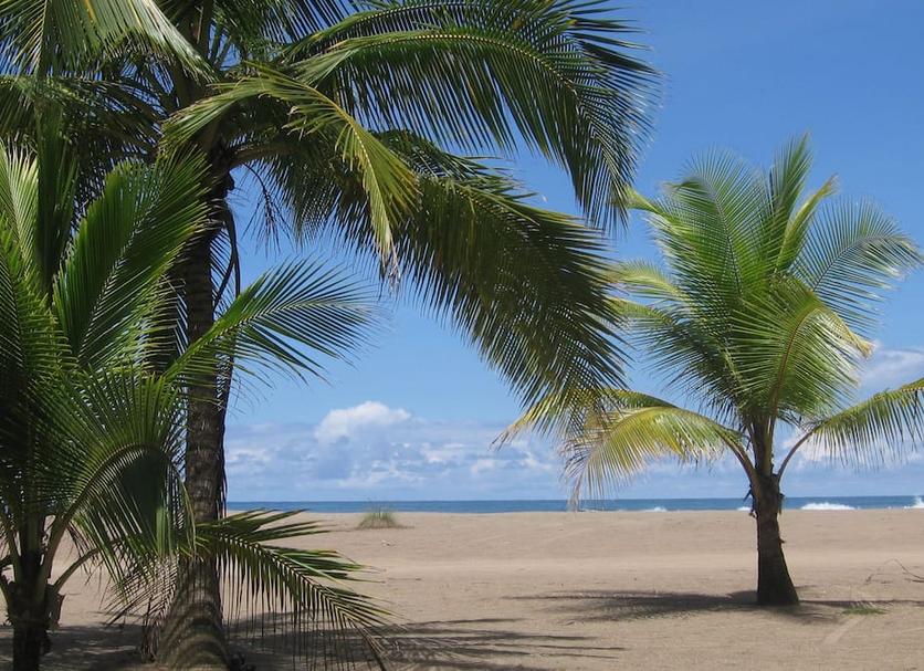Beach Photo