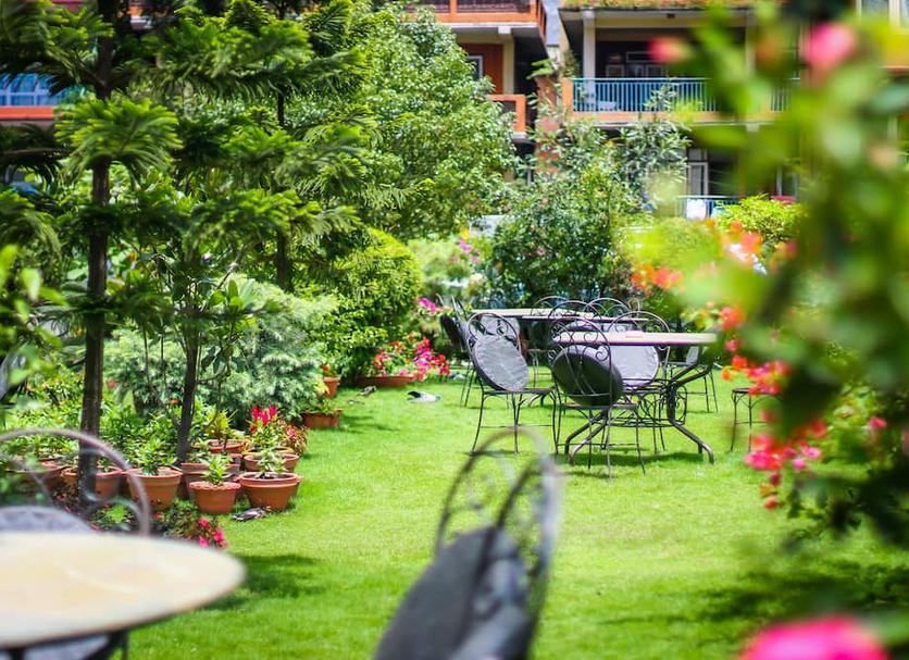 Patio Photo