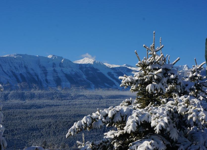 Outdoor view Photo