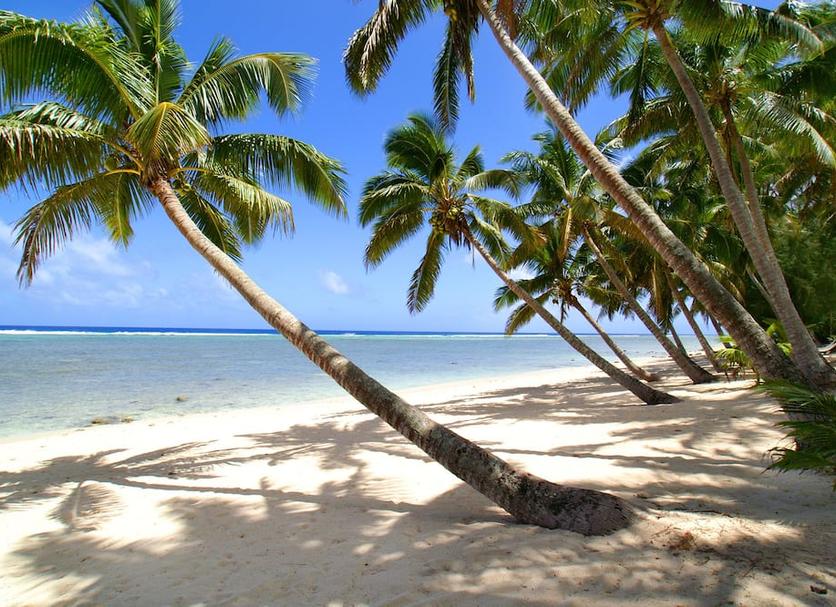 Beach Photo