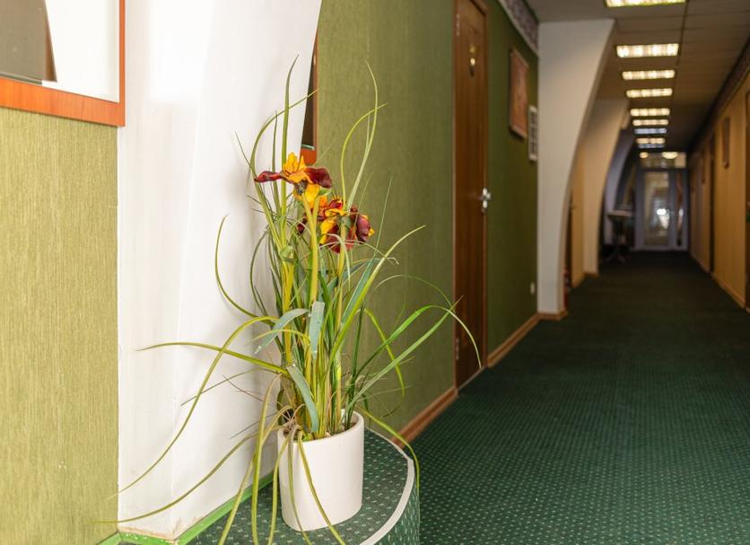 Hallway Photo