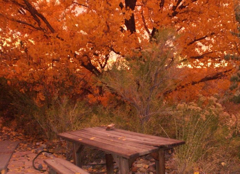 Outdoor view Photo