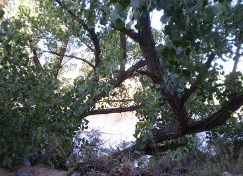 Other Photo