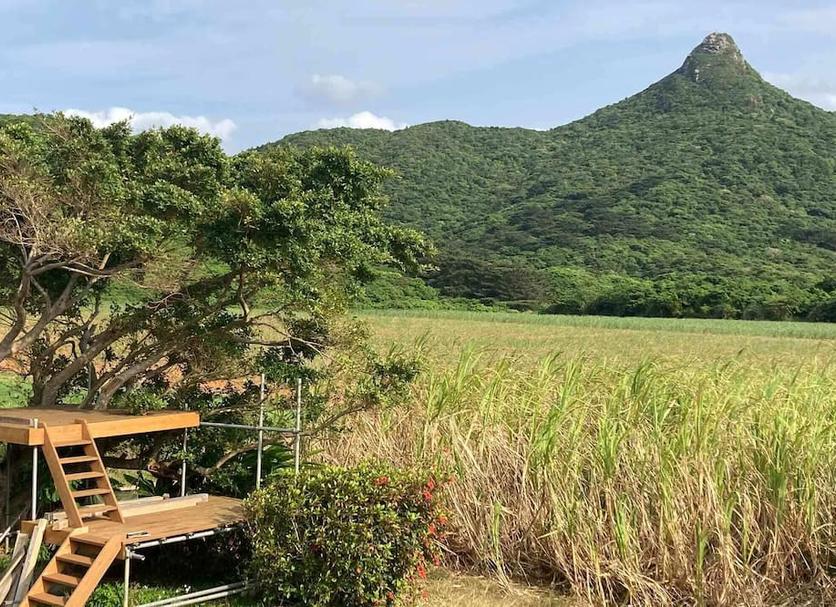Outdoor view Photo