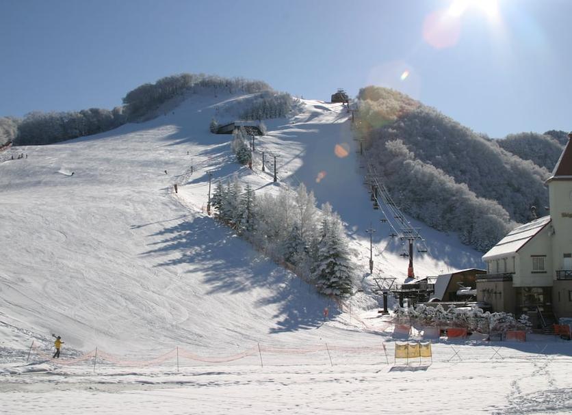 Other Photo