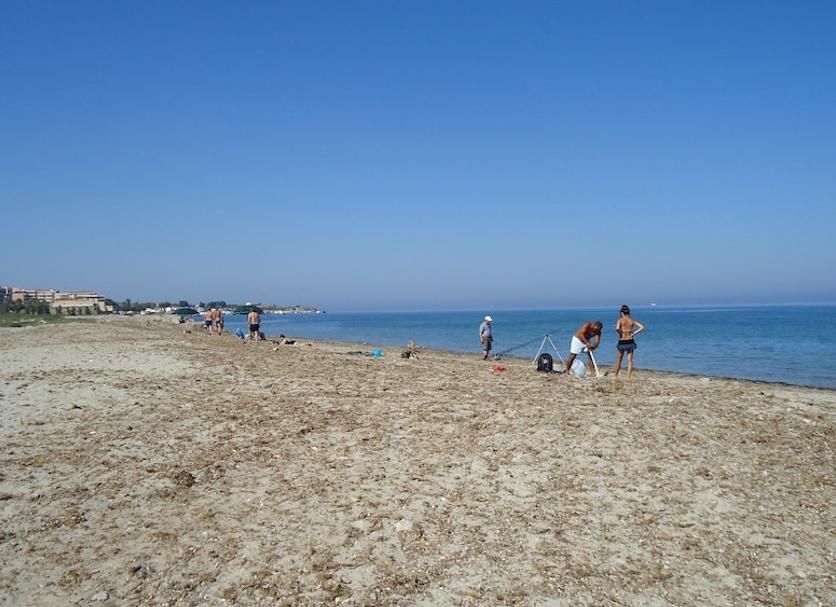 Beach Photo
