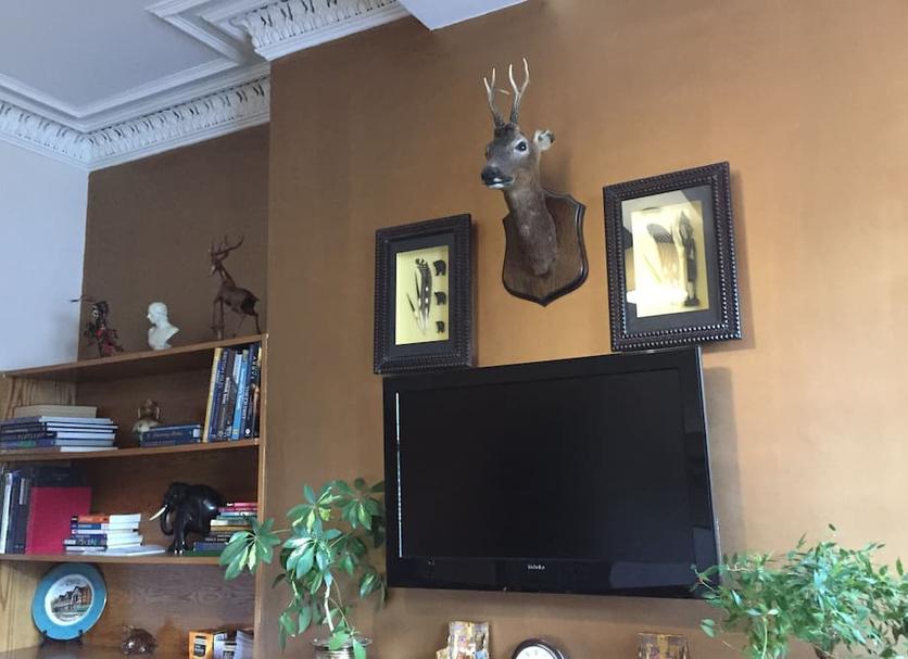 Room amenity Photo