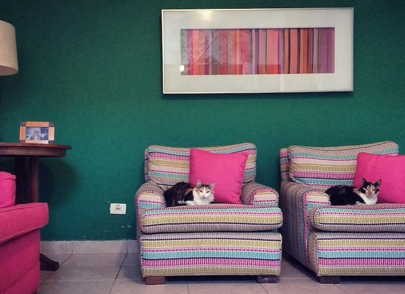 Living room Photo