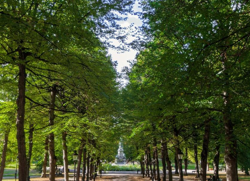 Outdoor view Photo