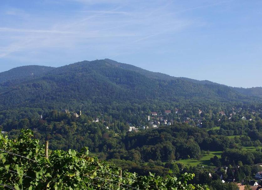 Outdoor view Photo