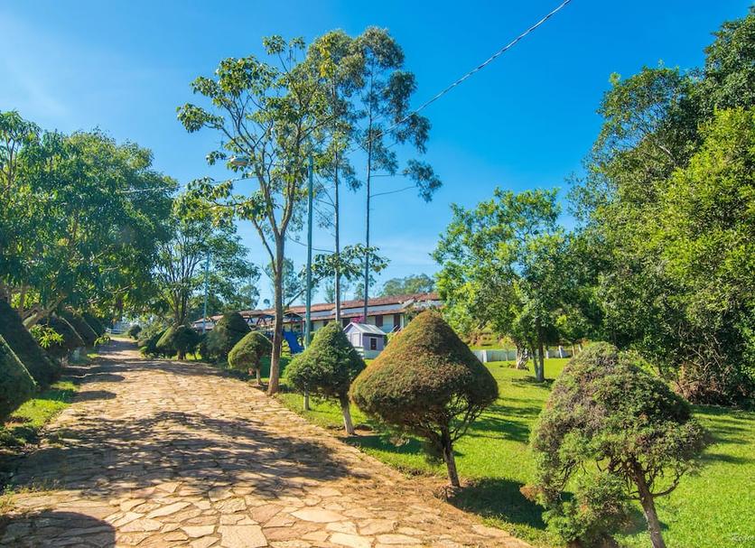 Outdoor view Photo