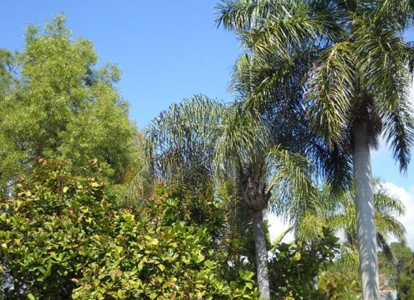 Outdoor view Photo