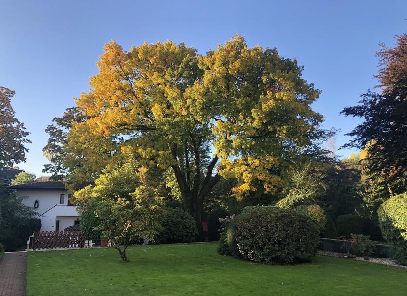 Outdoor view Photo