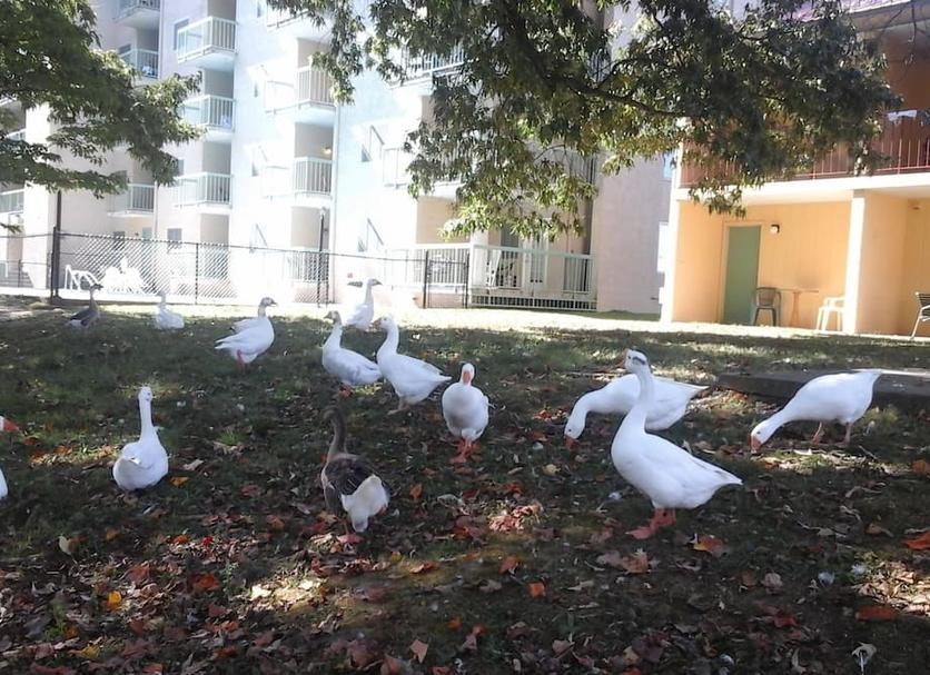 Outdoor view Photo