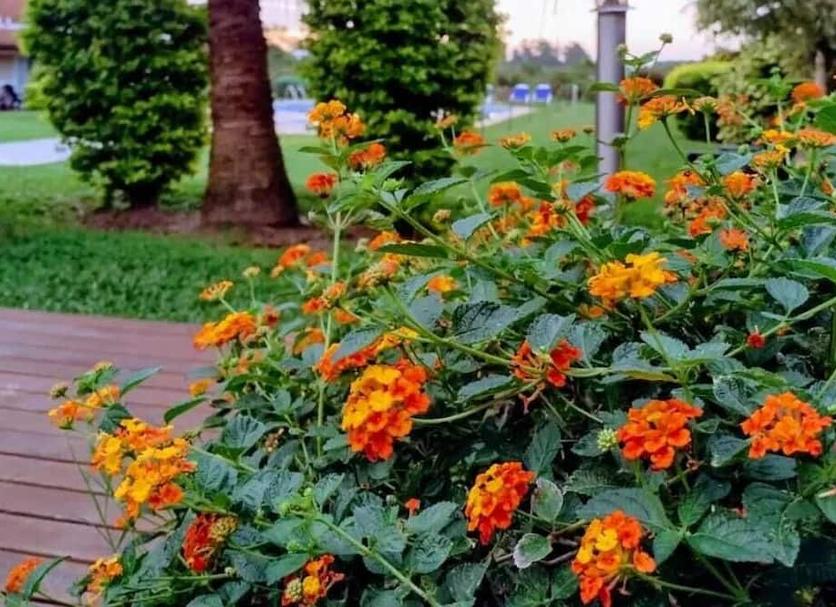 Outdoor view Photo