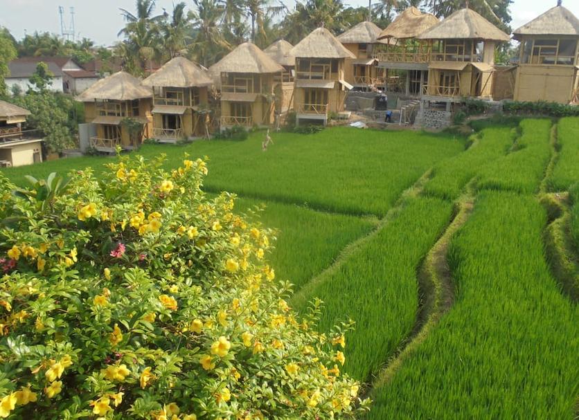 Outdoor view Photo