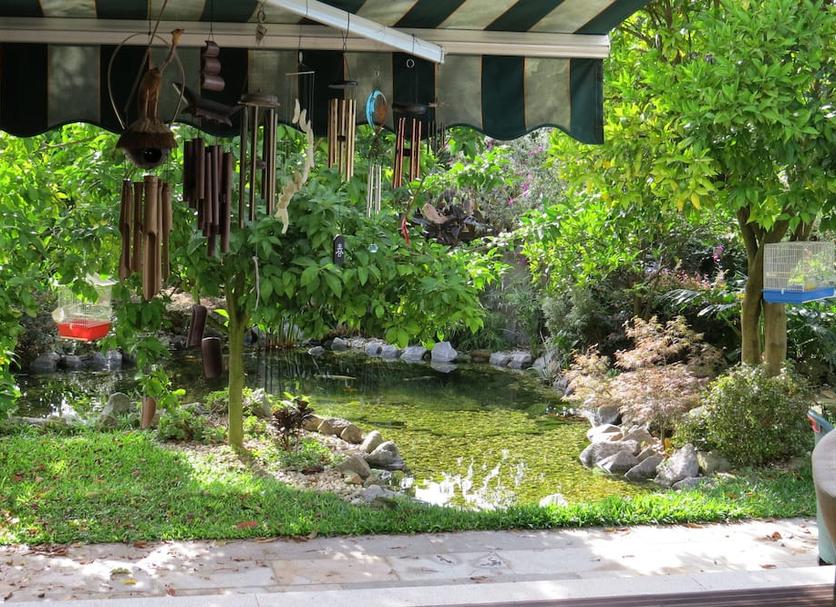 Outdoor view Photo