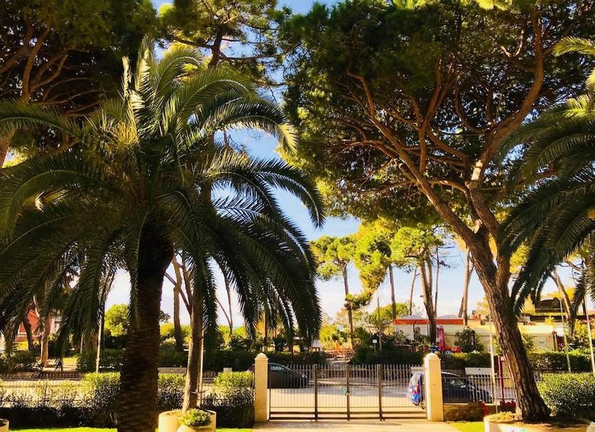 Outdoor view Photo