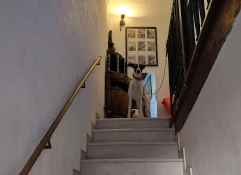 Stairs Photo