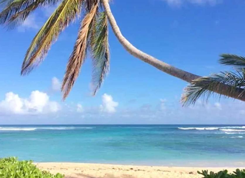 Beach Photo