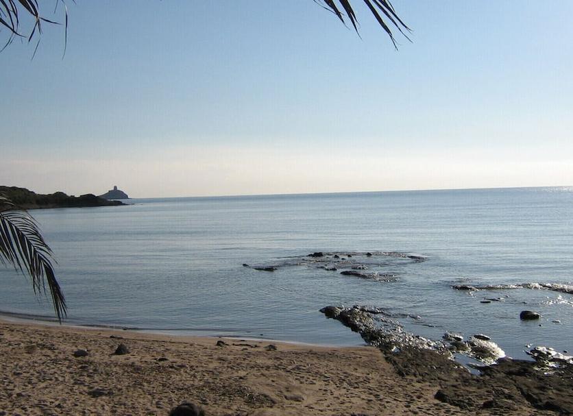 Other Photo