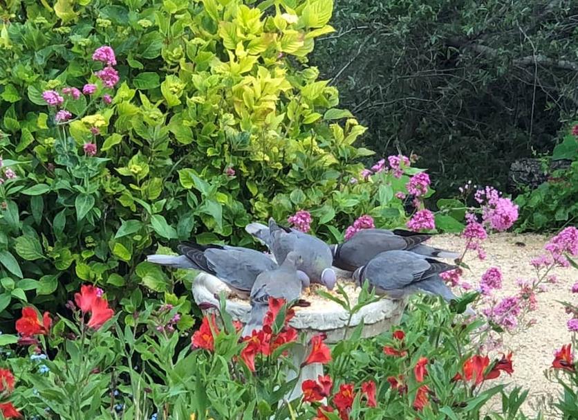 Outdoor view Photo