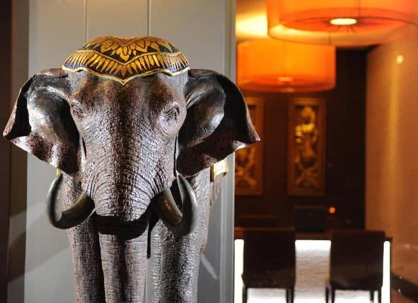 Room amenity Photo