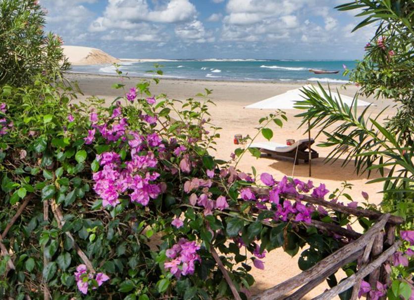 Beach Photo